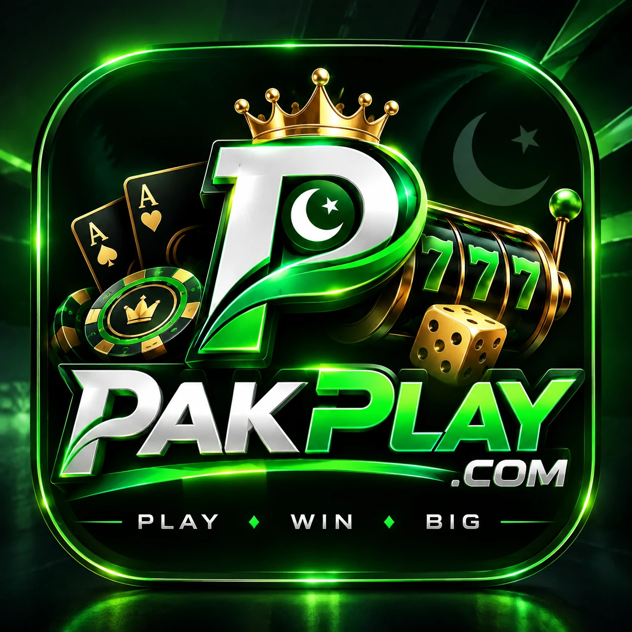 PakPlay Game icon