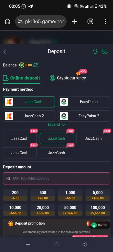 PKR365 Game APK Deposit Page With Available Payment Options